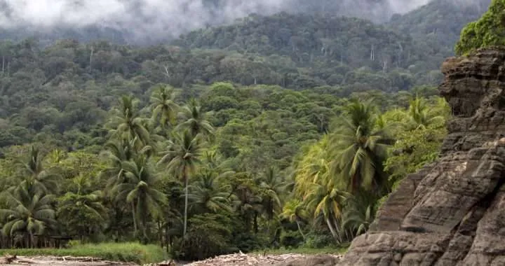 Our Environment is in Danger