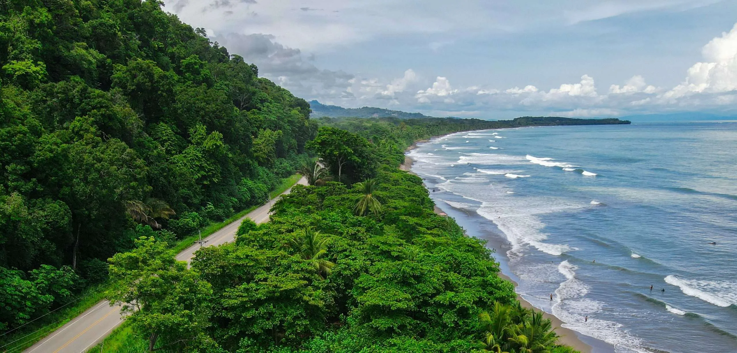 Schützen Sie die Costa Ballena Schützen Sie die Costa Ballena
