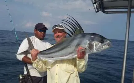 Advertise with Ballena Tales