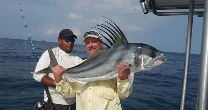 Advertise with Ballena Tales