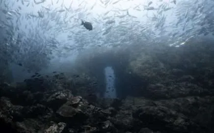 Innoceana: Fotografía de gran ángulo por Yulian Cordero