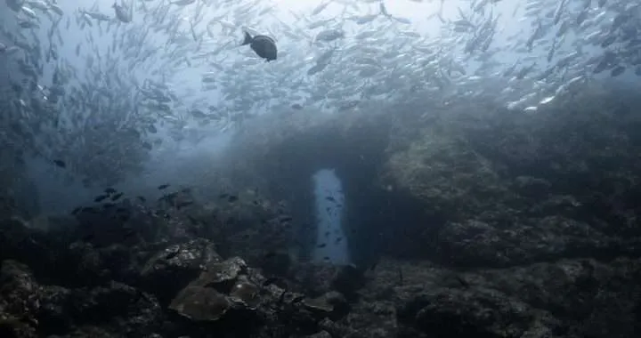 Innoceana: Fotografía de gran ángulo por Yulian Cordero