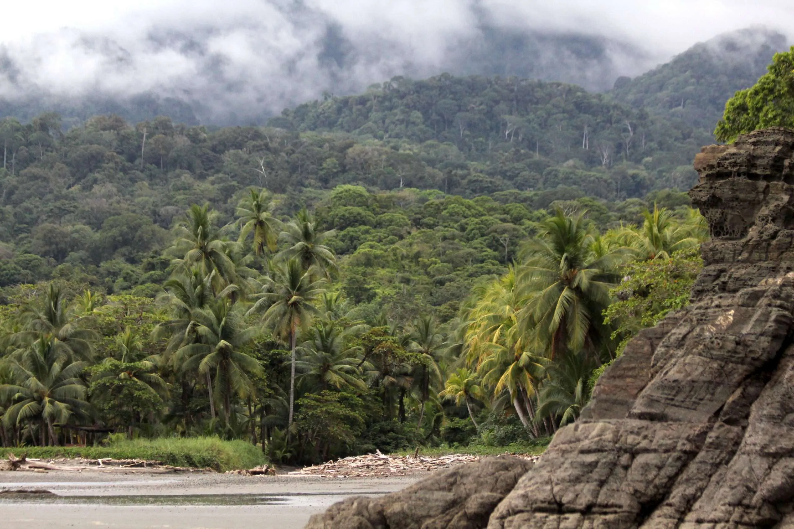 Unsere Umwelt ist in Gefahr