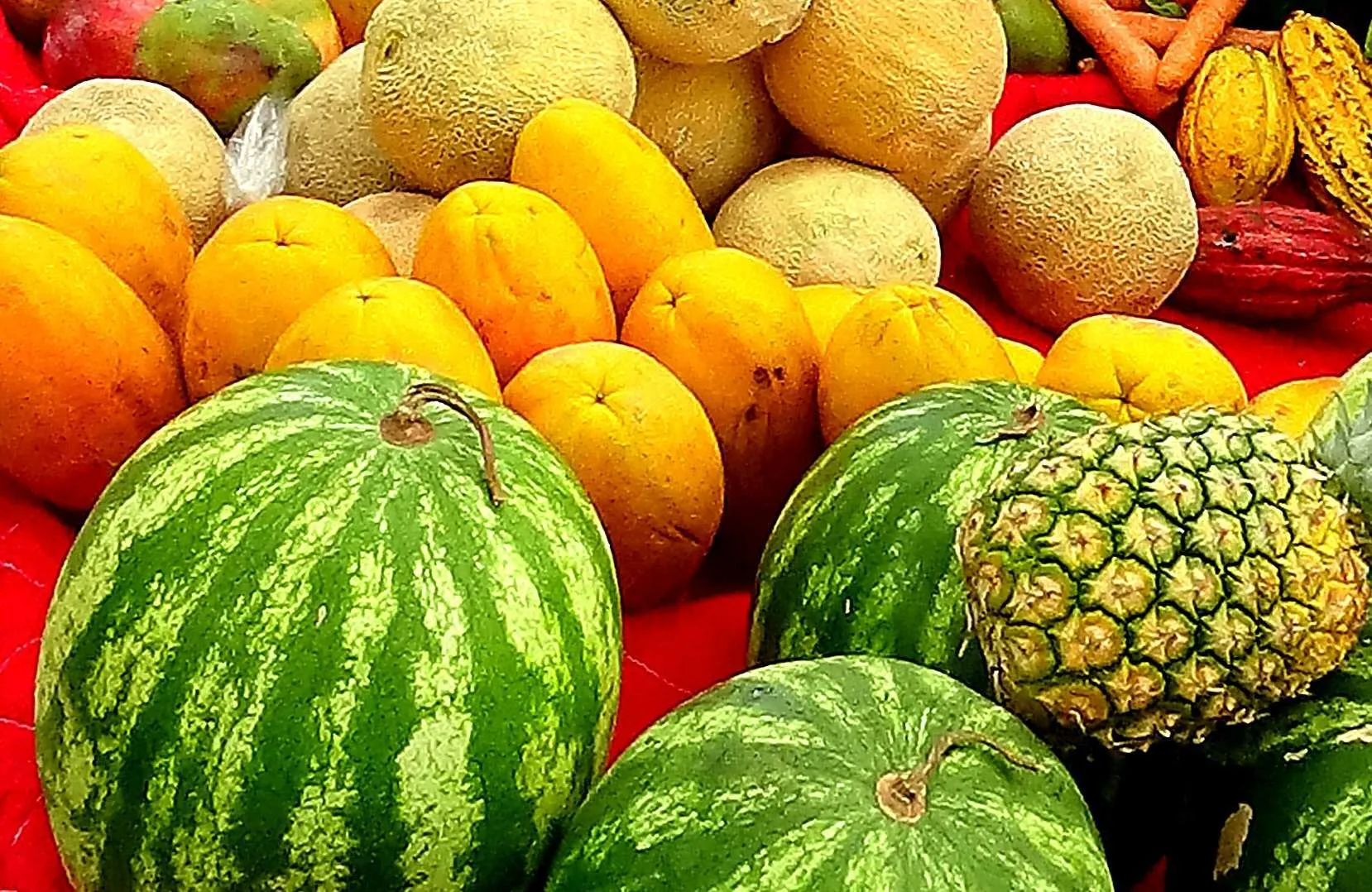 Comunidad - Mercado de Uvita