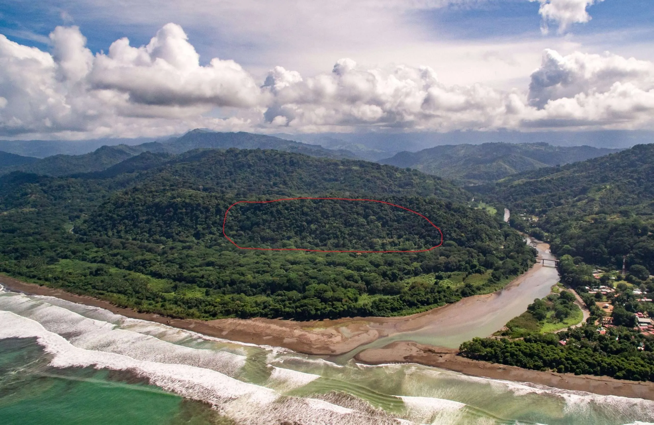 Madre Naturaleza – 36 años de bosque secundario restaurado Madre Naturaleza - 36 años de bosque secundario restaurado