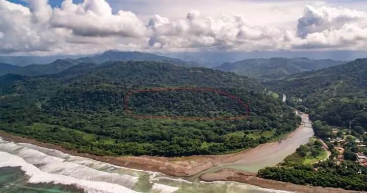 Mother Nature - 36 Year Secondary Forest Rewilded