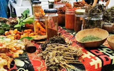 Neem and Other Herbs - Good for Health