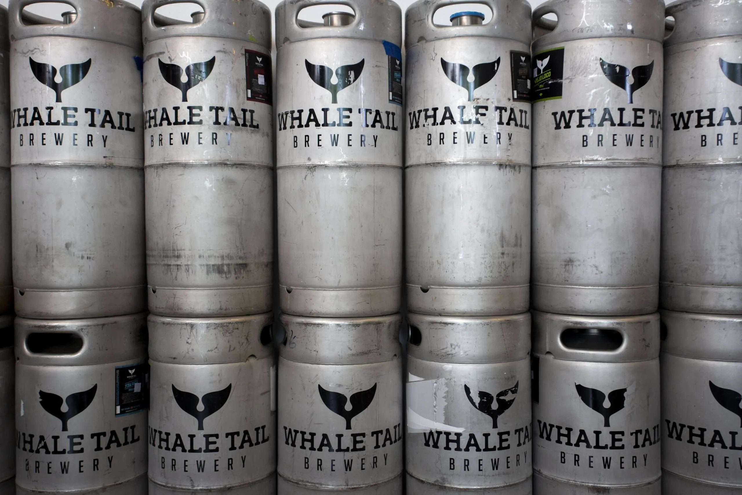 Whale Tail Hotel & Brewery - Cerveza