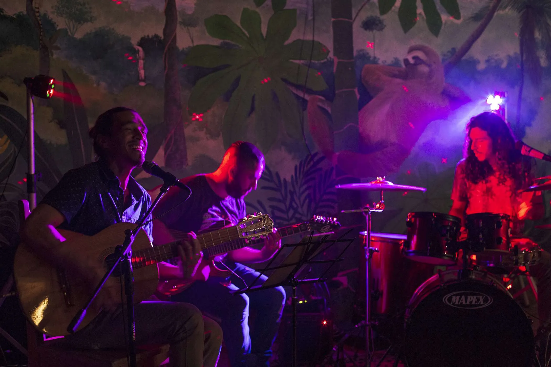 Whale Tail Hotel & Brewery - Música en vivo