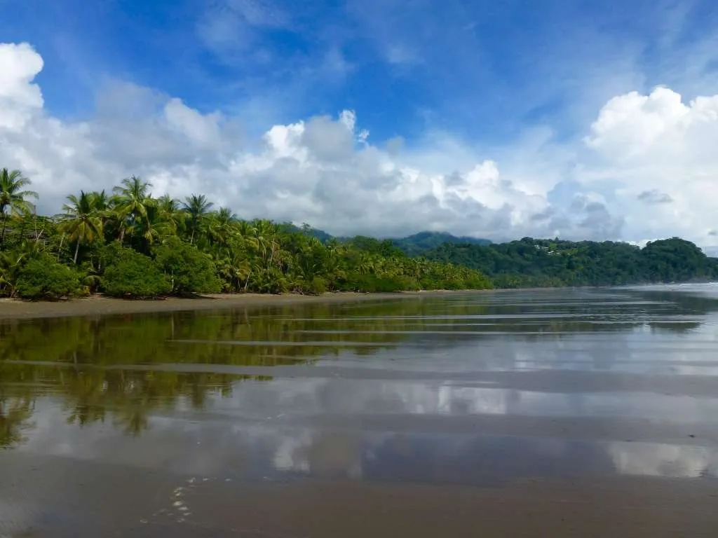 Teilen Sie Ihre Gabe mit anderen