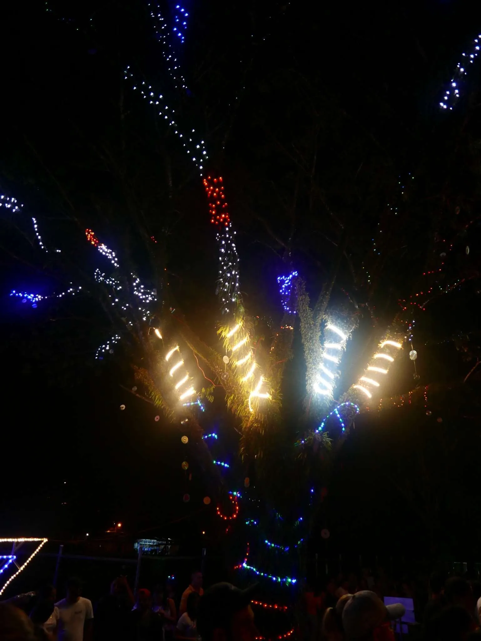 Arbol iluminado – Festival de la luz Arbol iluminado - Festival de la luz