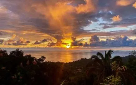 Dolor y Placer de Vivir en Osa