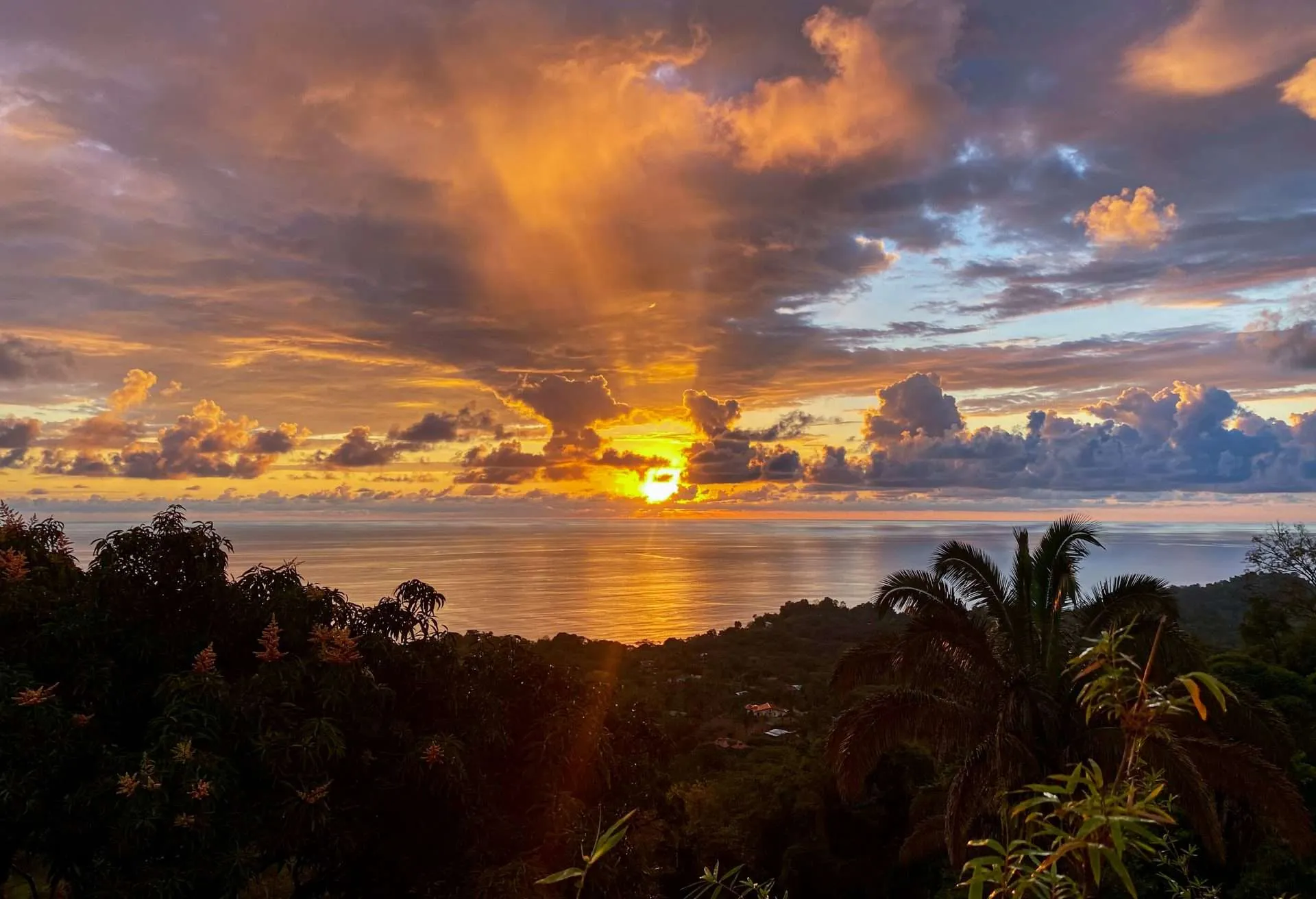 Dolor y Placer de Vivir en Osa Pain & Pleasure of Living in Osa