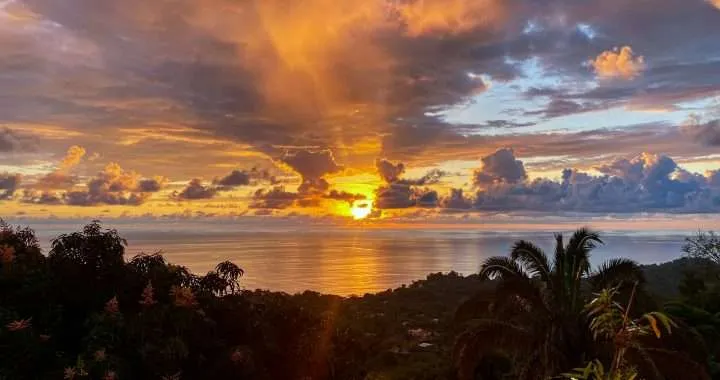 Schmerz und Freude am Leben in Osa
