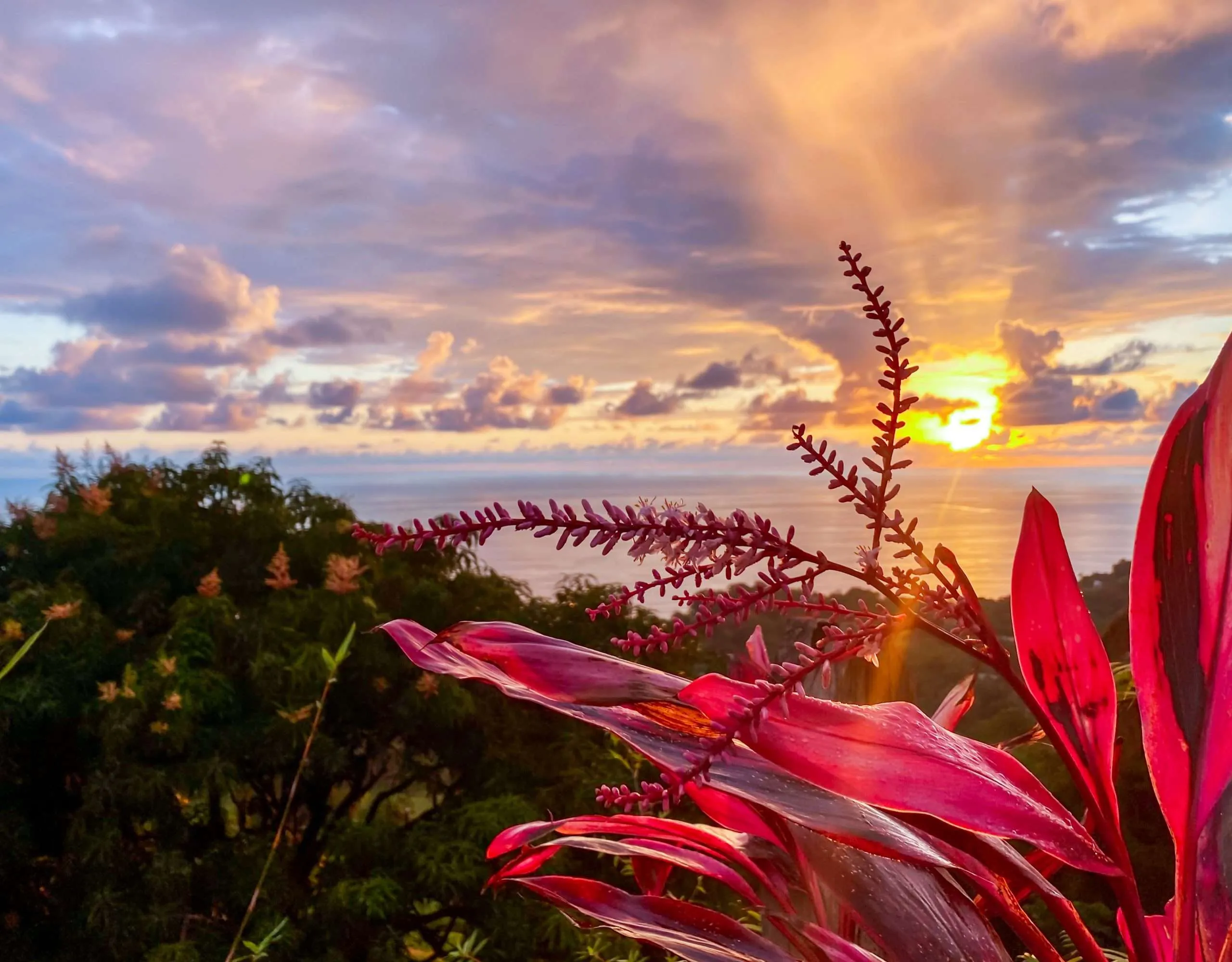 Signo solar - Foto de Conecat
