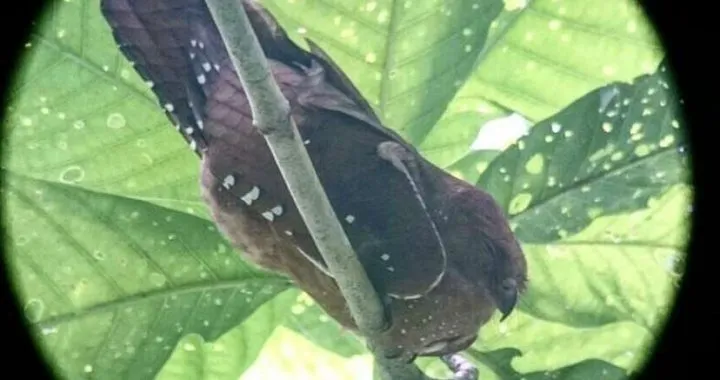 IMG 88731 e1673379576428