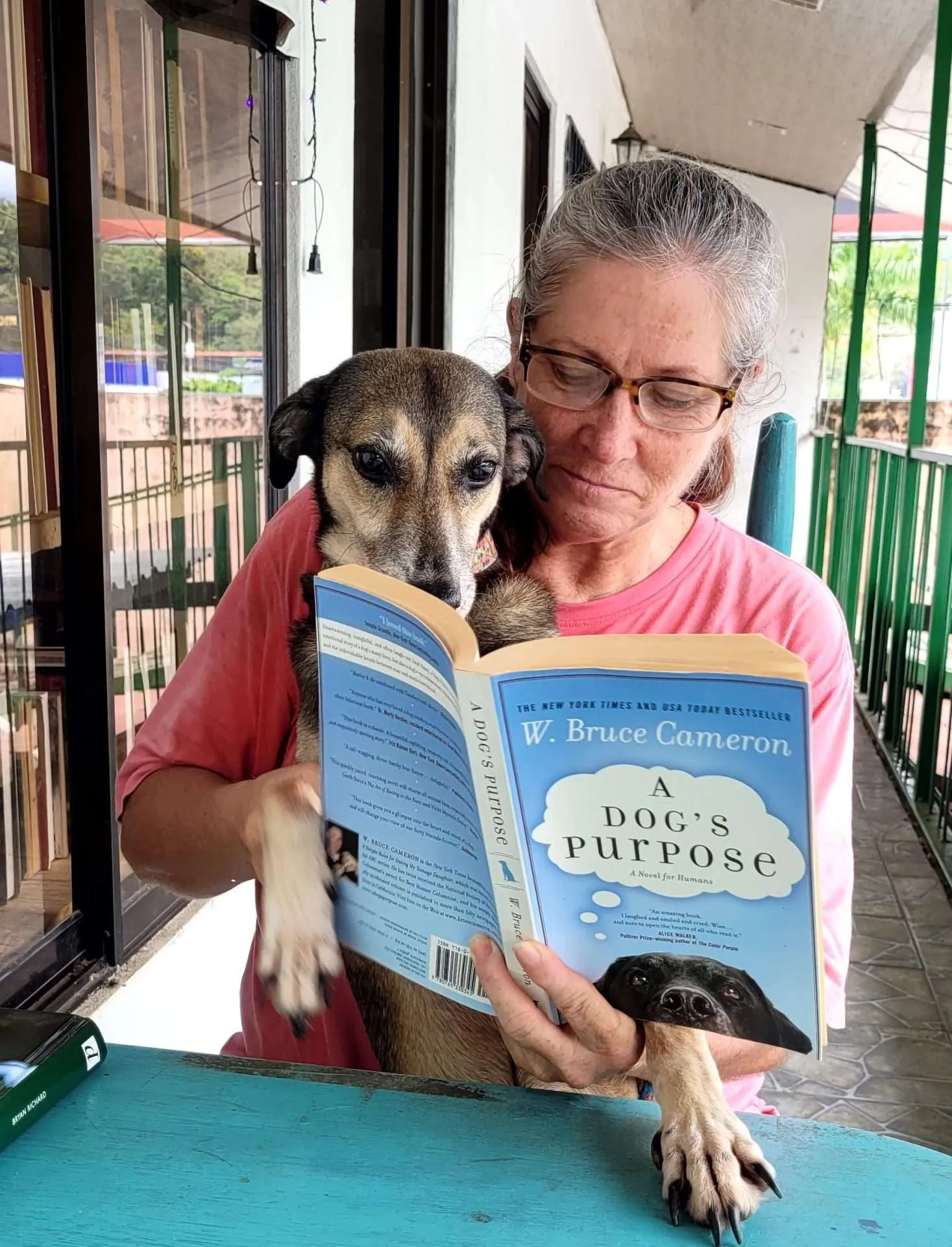 A dogs Purpose A dogs Purpose
