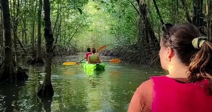 Enjoy Osa Kayak Tour