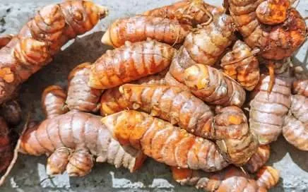 Curcuma la pasta dorada