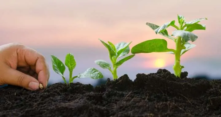 WhatsApp Image 2023 02 22 at 14.04.51