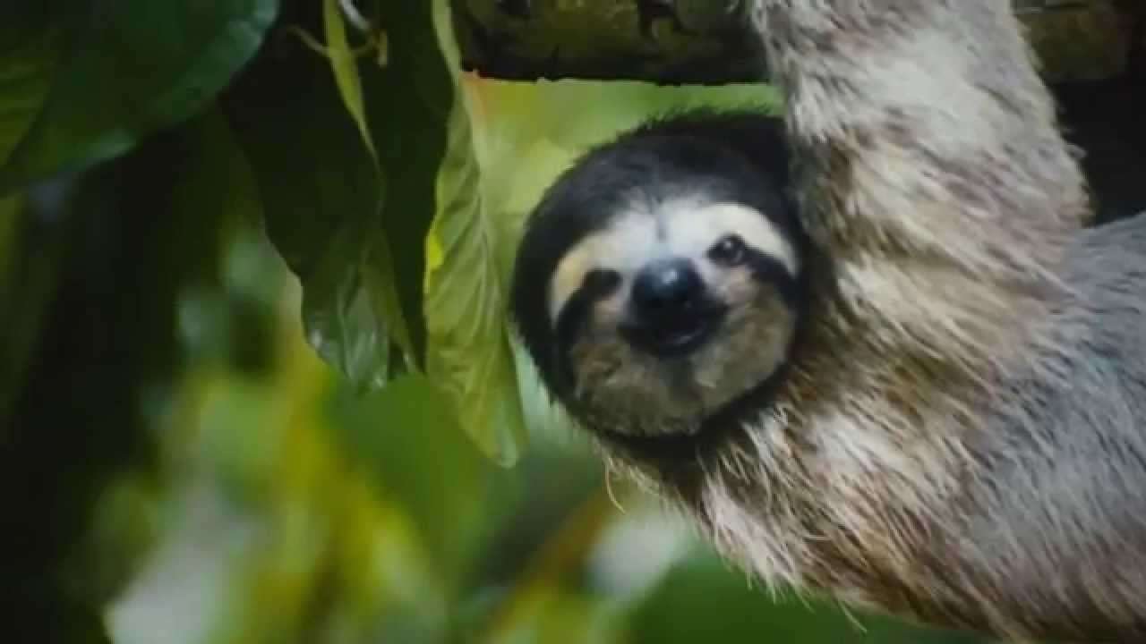 Rompiendo mitos sobre el destino Pacifico Sur Costa Rica,