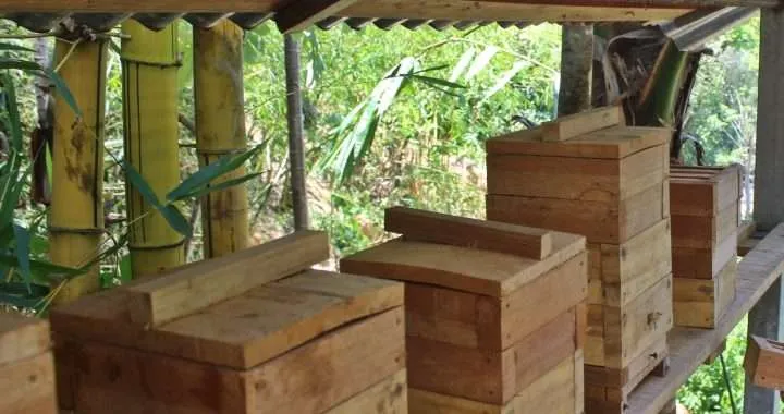 3 190407 Casa de Abejas