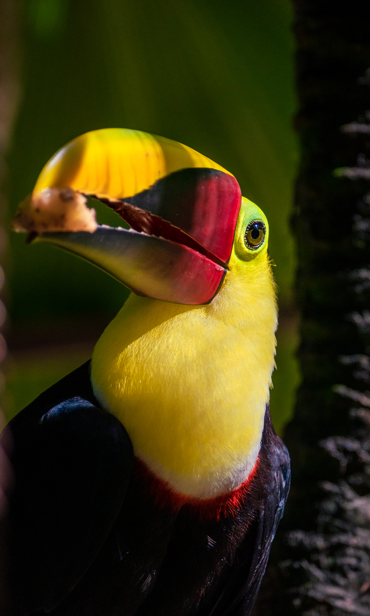 Alturas Wildlife Sanctuary Costa Rica 1