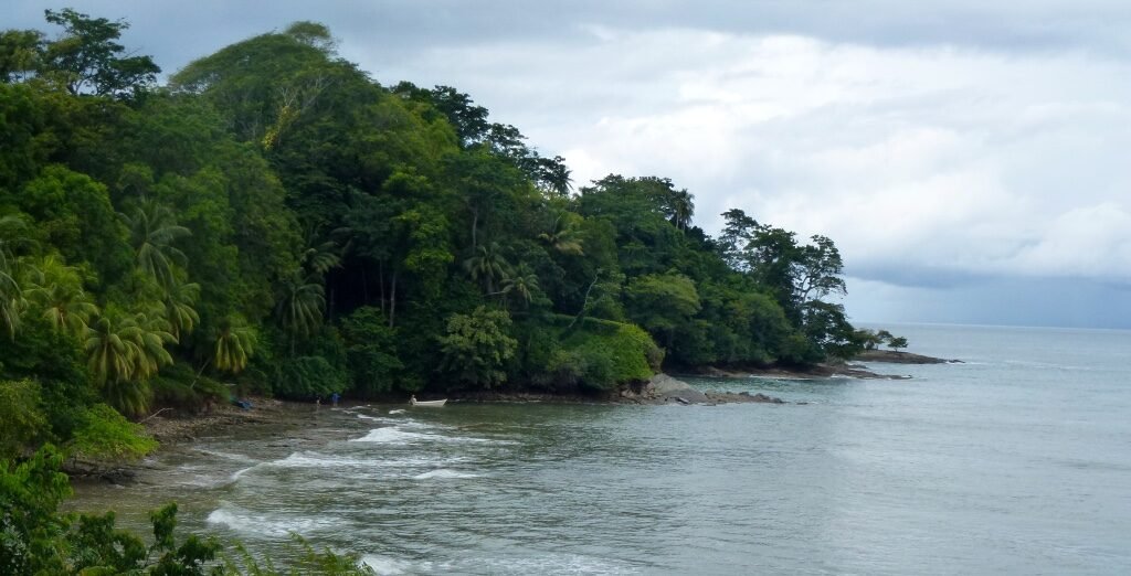 playa-dominicalito