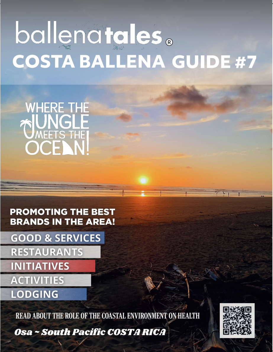 COSTA BALLENA GUIDE
