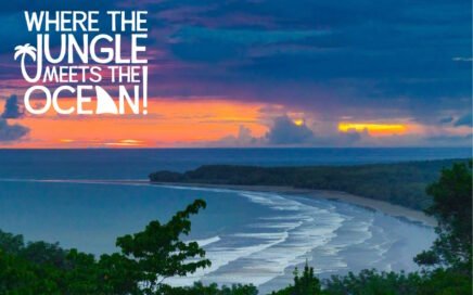 Free Digital Magazine and travel guide
