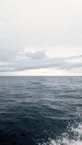Agua oscura