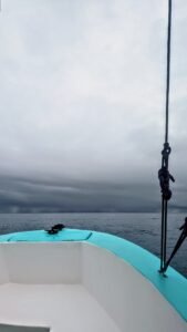 Bote