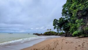Caño Island Tour
