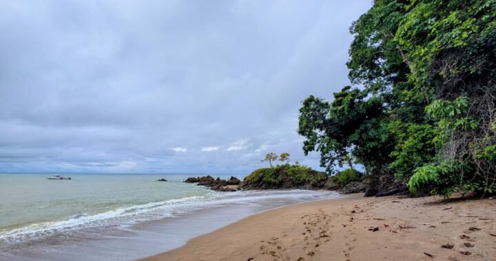 Caño Island Tour