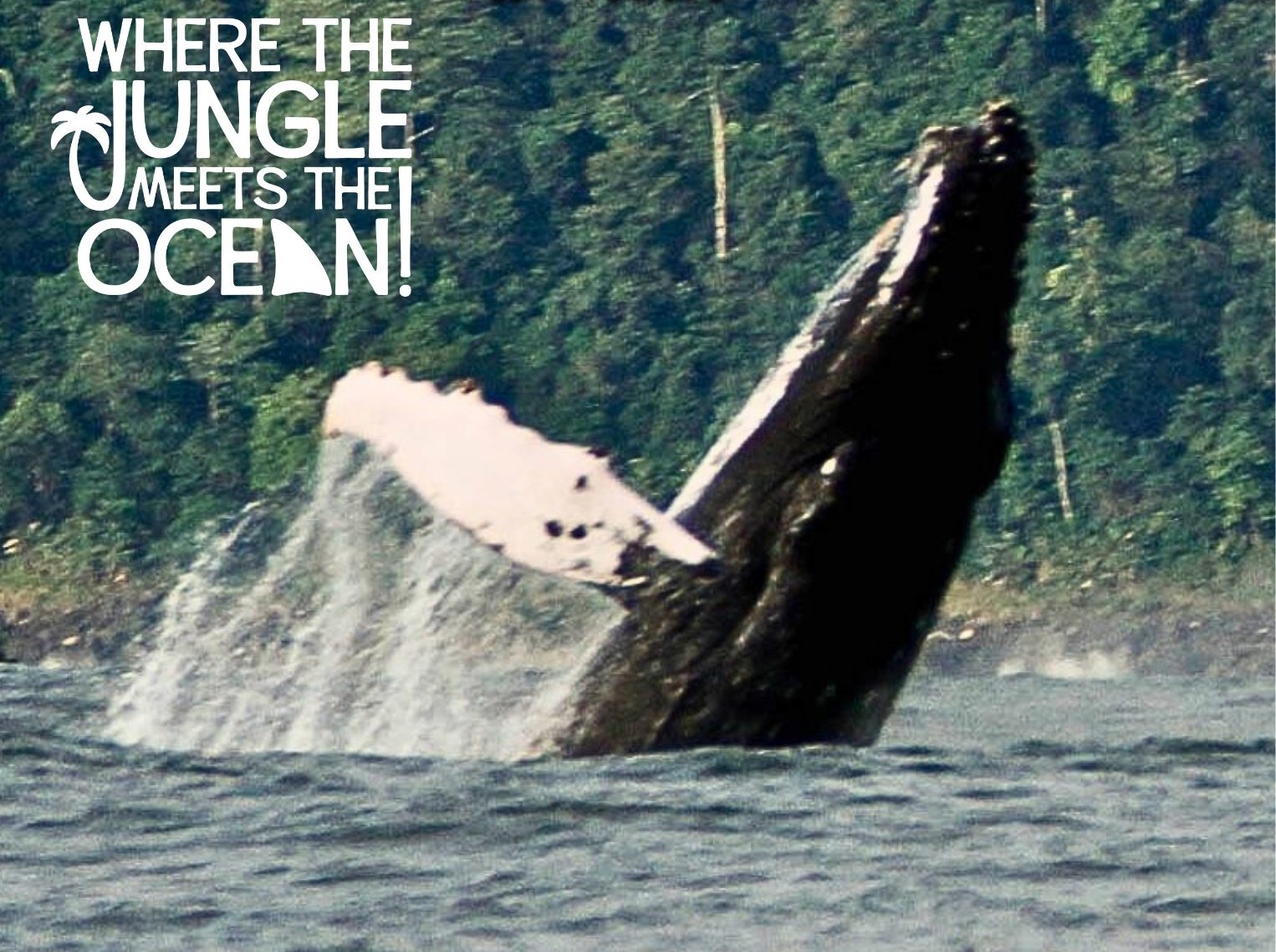 Destino Costa Rica Free Magazine