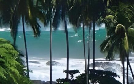 Dominical