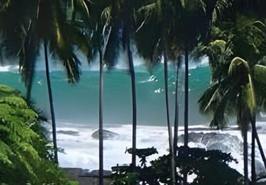 Dominical