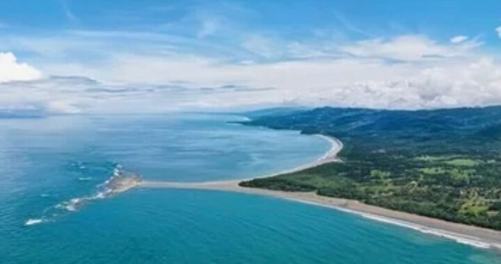 Uvita Whale tale