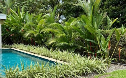Gardening in Costa Rica