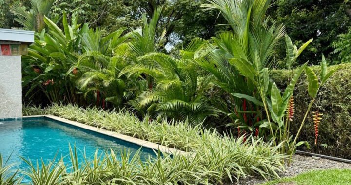 Gardening in Costa Rica