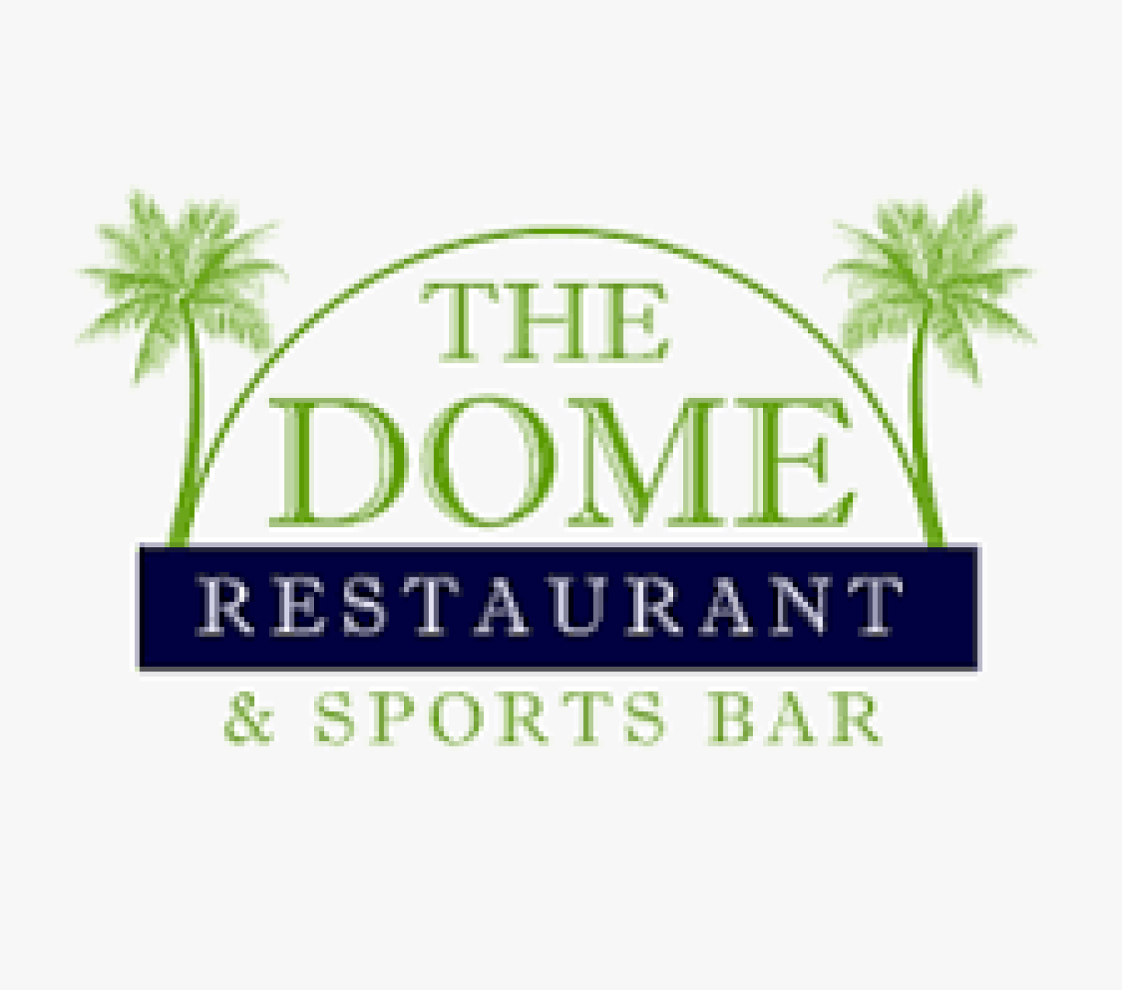 13 Dome logo 13 Dome logo