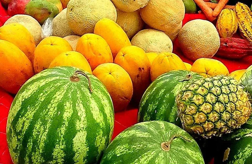 1504 Feria de Uvita 17