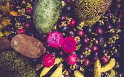 Costa Rica Fruit Festival