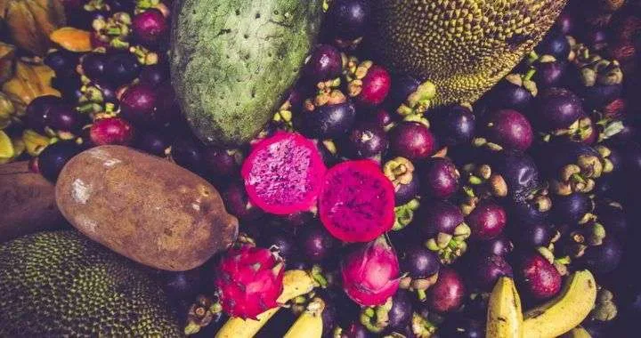 Costa Rica Fruit Festival