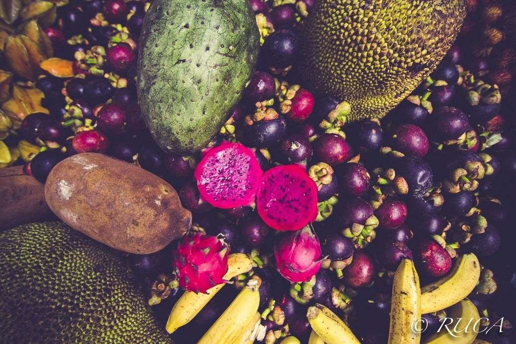 Costa Rica Fruit Festival