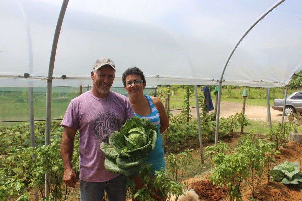 The Varela Family Sells Healthy organic greens at Uvita’s farmers’ market