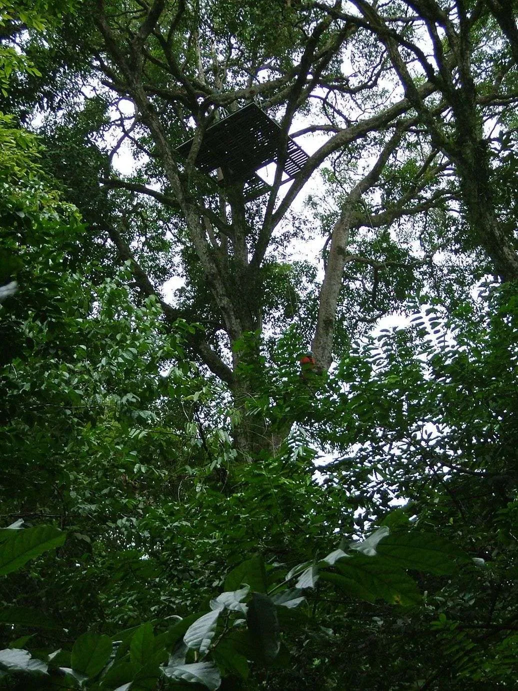 Subiendo a la plataforma