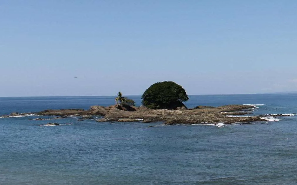 bar restaurant hotel la parcela dominical costa ballena costarica hosting rooms nature oceanview beach rock