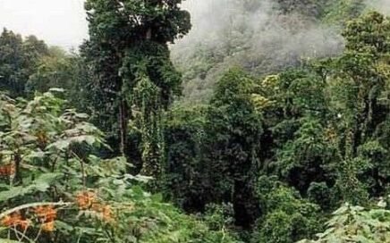 cerro de la muerte