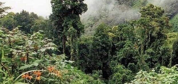 cerro de la muerte